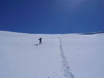 Roca Nevada *